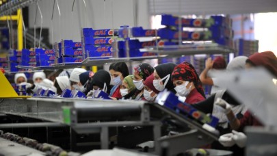 Böyle vitamin deposu yok! Kilosu 60 TL'den satılıyor,  kapış kapış gidiyor