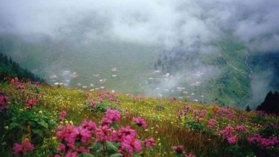 2 bin 300 rakımda oluyor üretici paraya para demiyor. Kilosu 2 bin 500 lira. Bu hastalıkları tedavi ediyor