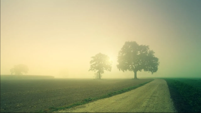 Meteoroloji il il açıkladı: Sis engeline dikkat!