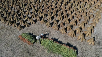 Bakan duyurdu: Hesaplara aktarılıyor!