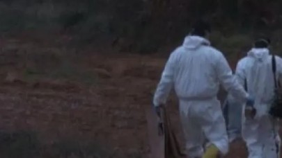 Eşi 4 gün önce kayıp ilanı vermişti. İstanbul'da Cafer Işık ağaçta asılı halde ölü bulundu