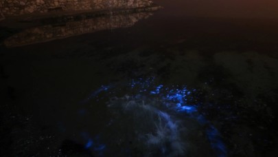 Bursa'da enteresan olay. Görenler şaşkınlık yaşadı