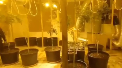 Narkoçelik-7 operasyonu: 1 tona yakın uyuşturucu ele geçirildi,  161 kişi yakalandı!