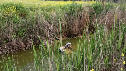 Hatay'da feci kaza: Otomobil dereye uçtu 2 ölü 2 ağır yaralı!