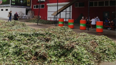 Ekonomik kriz 30 yıllık dev markayı da vurdu: Ünlü çay markası konkordato ilan etti!