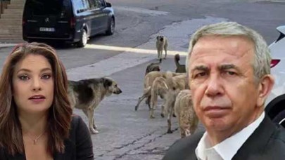 Mansur Yavaş'ın sokak köpekleri ile ilgili açıklaması Nevşin Mengü'yü sinirlendirdi