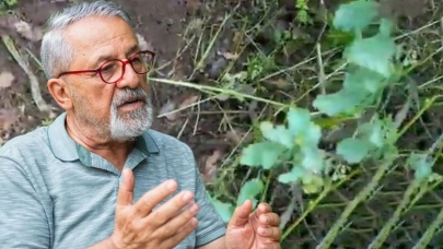 Bingöl'de yer altından gelen sesler büyük deprem habercisi mi?  Prof. Dr. Naci Görür yanıtladı