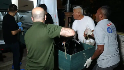 Antalya'da kadın cinayeti! Pakistanlı kadının boynu ve 3 parmağı kesilmiş cesedi bulundu