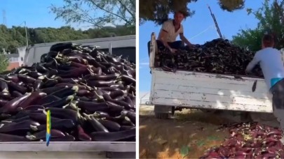 Bir kamyon dolusu patlıcanı çöpe döktüler: Gerekçesini de video çekerek anlattılar!