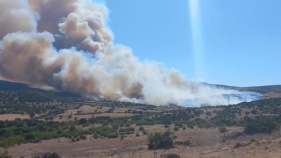 Çanakkale'de cigerimiz yanıyor. Evlere dayandı mahalle boşaltıldı