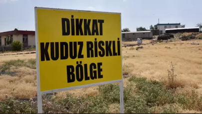 Şanlıurfa'da bir mahallede kuduz vakası!