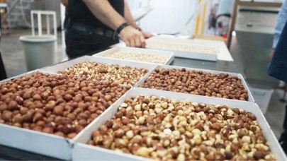 Türkiye'nin gıda devi iflas etti: Yüzlerce çalışan işsiz kaldı