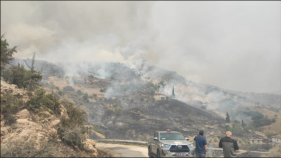 Ege Bölgesi'ndeki 3 il yangın: Manisa'da orman yangını saatlerdir söndürülemiyor