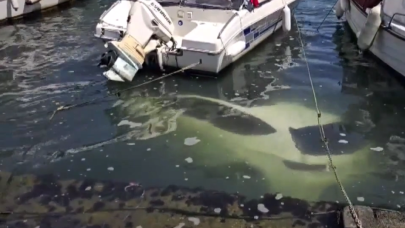 İstanbul'da akıllara durgunluk veren olay! Sürücü son anda kurtuldu, otomobil denize düştü