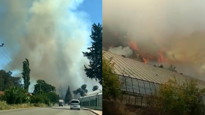 Yine başladı orman yangınları. 3 il alev alev yanıyor