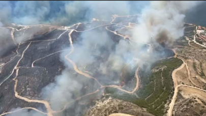 Çeşme'de orman yangını!