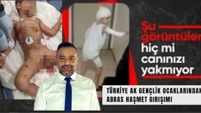 Türkiye’de Başıboş Köpek Sorunu: Abbas Haşmet Yoğun Bakımda