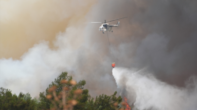 İzmir'de orman yangını!