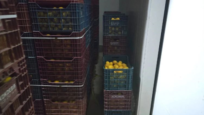 Mersin'de depoda kayıt dışı 380 ton limon tespit edildi!