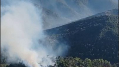 Balıkesir'de orman yangını!