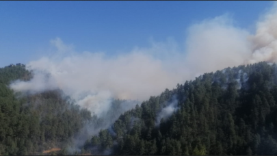 4 ilde orman yangını alarmı!