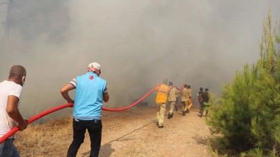 Bodrum alev alev yanıyor. Ormanda başladı. İlk açıklama