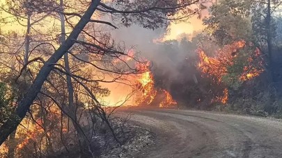 Adana Kozan yanıyor. Evler tahliye edildi