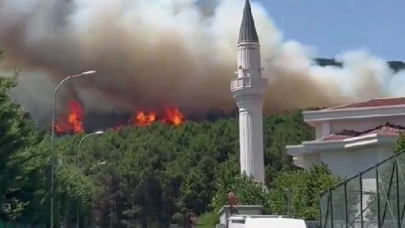 İstanbul'daki Aydos Ormanı'nda yangın!