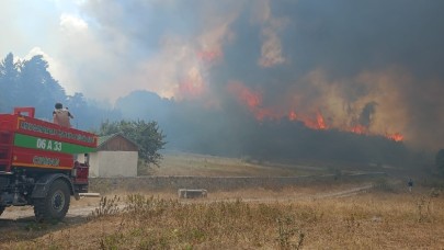 Ankara'da başlayan orman yangını Bolu'ya sıçradı. Bir köy boşaltıldı
