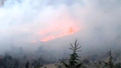 Üç ilde birden orman yangını çıktı. Ekipler müdahale ediyor