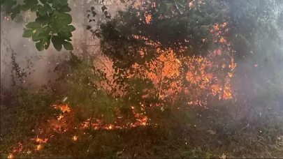 Adana'da yıldırım düşmesi sonucu 4 yerde orman yangını çıktı!