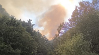 Afyonkarahisar'da orman yangını: Müdahaleler sürüyor!