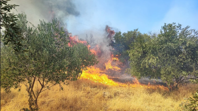 Aydın'da orman yangını: Alevler yerleşim yerlerine ulaştı!