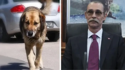 Erdal Beşikçioğlu'ndan skandal karar: Çocuğu ısıran köpeği bakın ne yapacak!