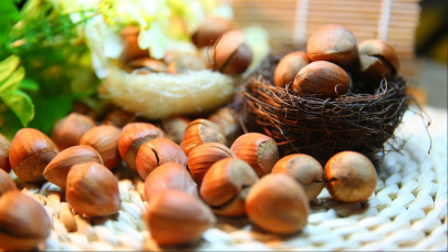 TMO kabuklu fındık alım esaslarını açıkladı!