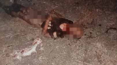 Fatih'te sokak köpeklerinin saldırısına maruz kalan Ayhan Özçelik yaşamını yitirdi!