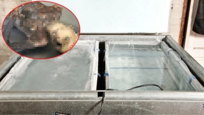 İşyerinde buzdolabının arkasına düşen adamın cesedi 10 yıl sonra bulundu