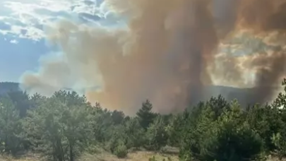Çankırı'da orman yangını!