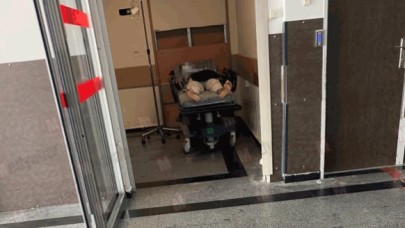 Sakarya'da yabancı uyruklu şahıs,  maymun çiçeği şüphesiyle karantina altına alındı!