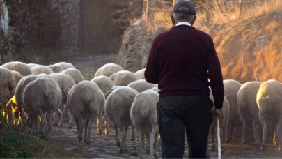 Yeni Bir Başlangıç: Küçük Şehirlerde Hayatın Avantajları ve Dezavantajları