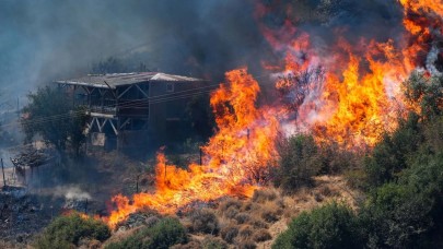İzmir,  Bolu,  Ödemiş,  Didim,  Bozdoğan yanıyor. Yangınların neden çıktığını bakan açıkladı. Gözaltına alınanlar var