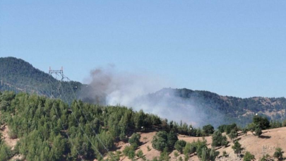 Adana'da orman yangını: Yangın helikopteri suya  düştü!