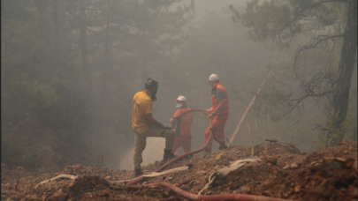 Orman yangınlarıyla ilgili gözaltı: 11 kişiden 2'si tutuklandı!