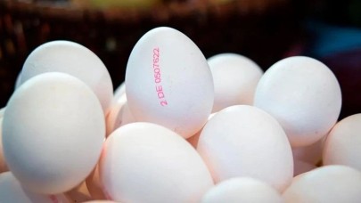 Yumurtaların üzerinde bulunan numaralar ne anlama geliyor? 2,  3 ve 4 numaralı yumurtalar zehirli mi? Bakanlıktan açıklam