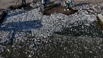 İzmir körfezi'nde kirlilik alarmı!