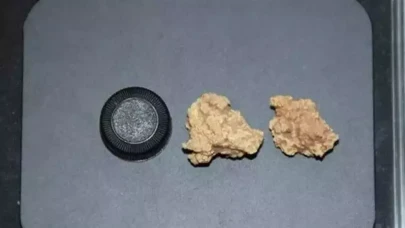 Arkeologlar,  Çin'de dünyanın en eski peynirini keşfetti