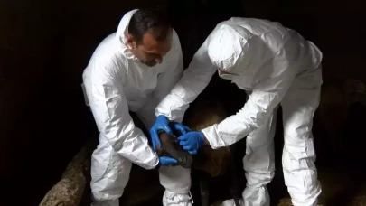 Mavi dil hastalığı görülen mahalle karantina altına alındı