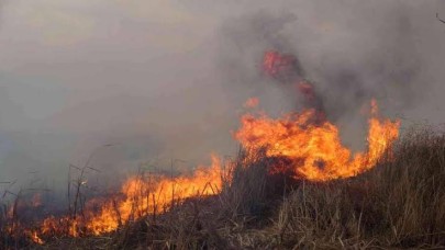 Yüksekova'da nehil sazlığı alev alev yandı!