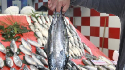 Tezgahlarda palamut bolluğu yaşanıyor