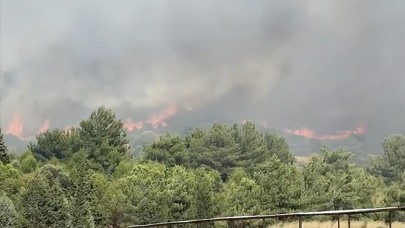 Foça'da orman yangını: Havadan ve karadan müdahale sürüyor